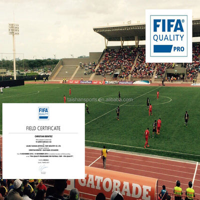 Césped artificial de fútbol verde de 5/8" de diámetro con respaldo PP + LENO y adhesivo de recubrimiento de látex SBR