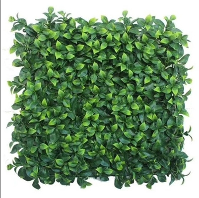 50cm*50cm Tamaño Pared de hierba artificial Instalación fácil Gran rendimiento Bajo mantenimiento