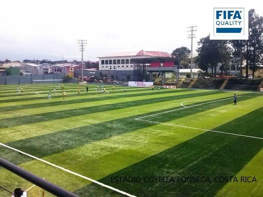 Césped artificial de alta densidad con certificación FIFA de 55 mm de altura para canchas de fútbol con bajo mantenimiento