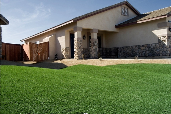 Césped artificial de fútbol personalizable 12000 Dtex Bajo mantenimiento para mascotas Parque de juegos y deportes al aire libre