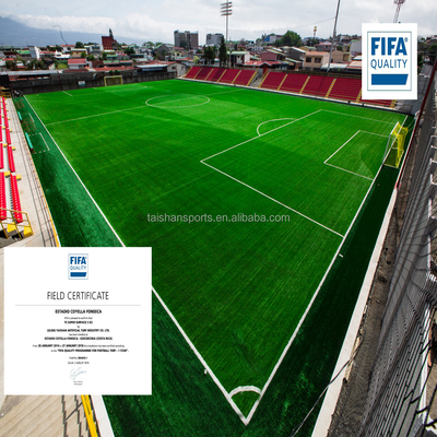 Césped artificial de fútbol verde de 5/8" de diámetro con respaldo PP + LENO y adhesivo de recubrimiento de látex SBR