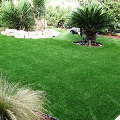 Césped artificial verde sin relleno de 30 mm utilizado para el área de mascotas o jardines en la azotea con resistencia a los rayos UV y buena elasticidad