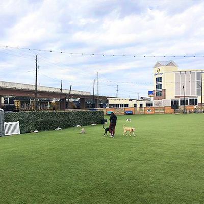 Césped artificial de patio de juego de 43 mm PU Césped artificial adhesivo para campos deportivos y áreas públicas