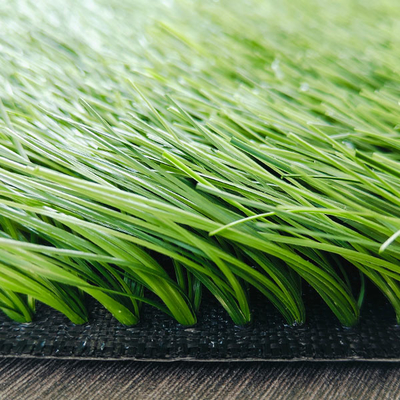 Dtex 17000 Césped de fútbol artificial verde personalizable para actividades al aire libre
