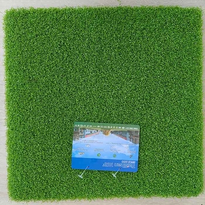 Dtex 8000 Golf Césped Artificial y Bajo Mantenimiento Césped Artificial Deportivo de 15 mm Con Alta Densidad