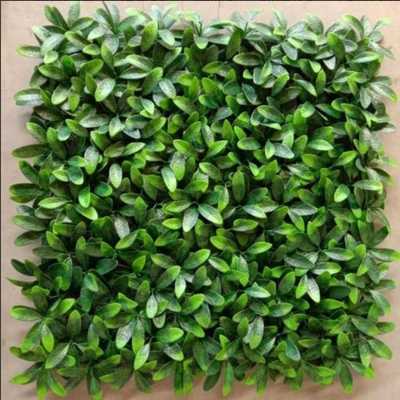 Paneles de hierba artificial PE Eco-friendly para decoración de habitaciones y embellecimiento de cafés