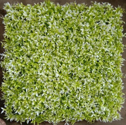 Material de hierba de pared artificial PE personalizable para la prevención de polvo y suciedad en espacios interiores y exteriores