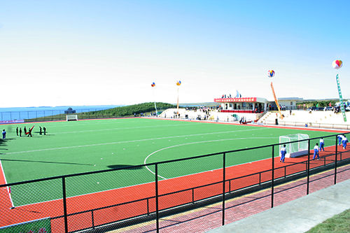 Césped artificial de gran densidad de 18 mm de espesor con gran resistencia a los rayos UV para golf y hockey