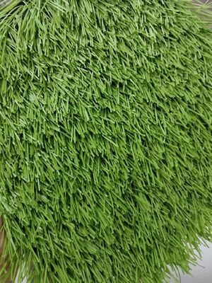 50 mm Deportes Césped artificial Fútbol Fútbol Béisbol Estadios deportivos Parques infantiles Resistencia a los rayos UV Bajo mantenimiento