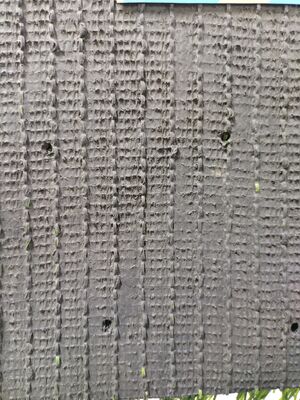 40 mm de altura de pila Resistencia a los rayos UV Certado por la FIFA Césped artificial de fútbol para canchas deportivas y estadios