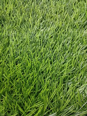 Bicolor Football Artificial Turf with High Permeability and 50mm Pile Height for Professional Fields for Wholesalers and Distributors