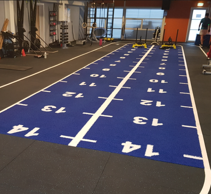 Césped de trineo de 16 mm de altura de pila con patrón de color personalizado y resistencia a los rayos UV para gimnasio