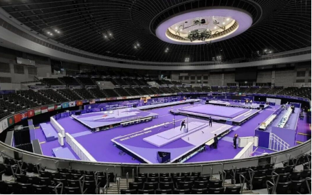 Esterilla de Wushu Certificada por la IWUF y Equipamiento Deportivo para Aplicaciones Multideporte con Tamaño de 12000 mm × 18000 mm × 90 mm