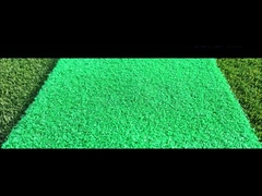 Taishan Nylon Nuevos Productos