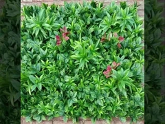 2025 Nuevo proveedor de hierba de pared Taishan