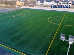 Césped de fútbol certificado por la FIFA