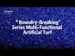 Césped artificial multifuncional de la serie Boundary-Breaking